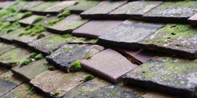 Filton roof repair costs